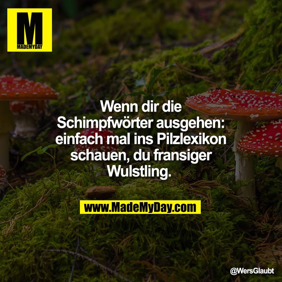 Wenn dir die<br />
Schimpfwörter ausgehen:<br />
einfach mal ins Pilzlexikon<br />
schauen, du fransiger<br />
Wulstling.