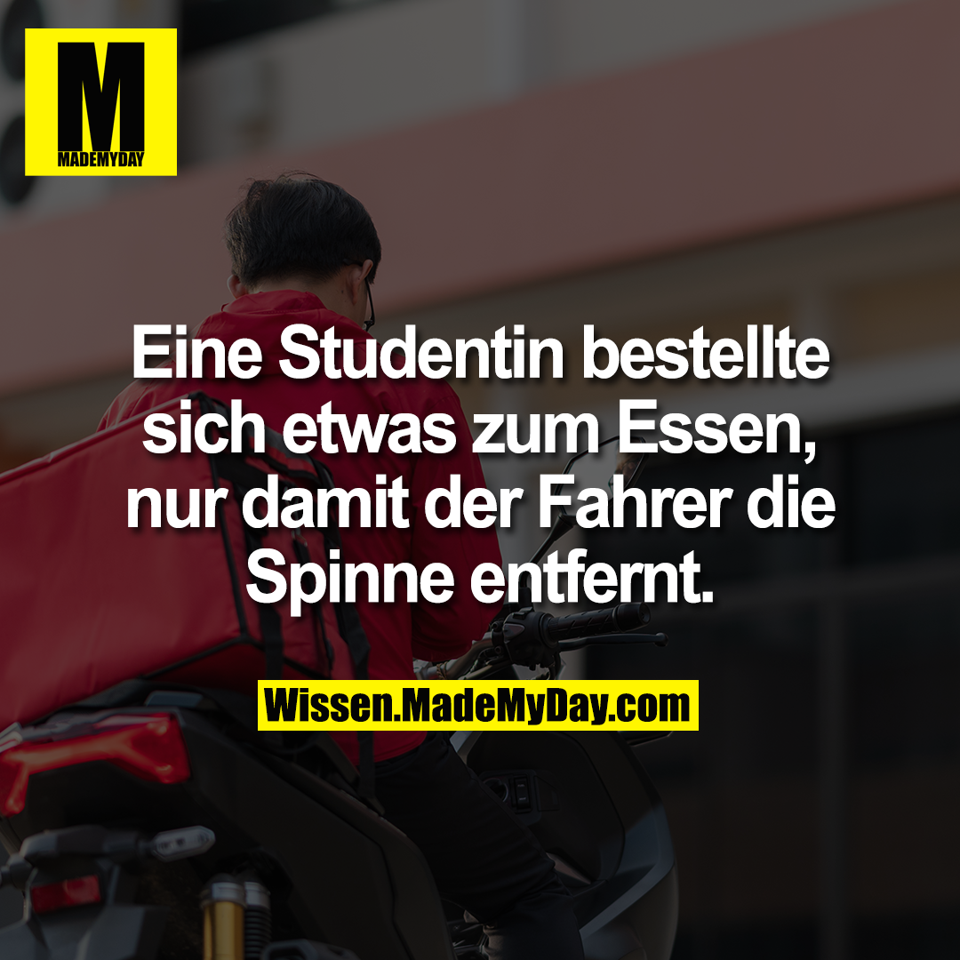 Eine Studentin bestellte sich etwas zum Essen, nur damit der Fahrer die Spinne entfernt.