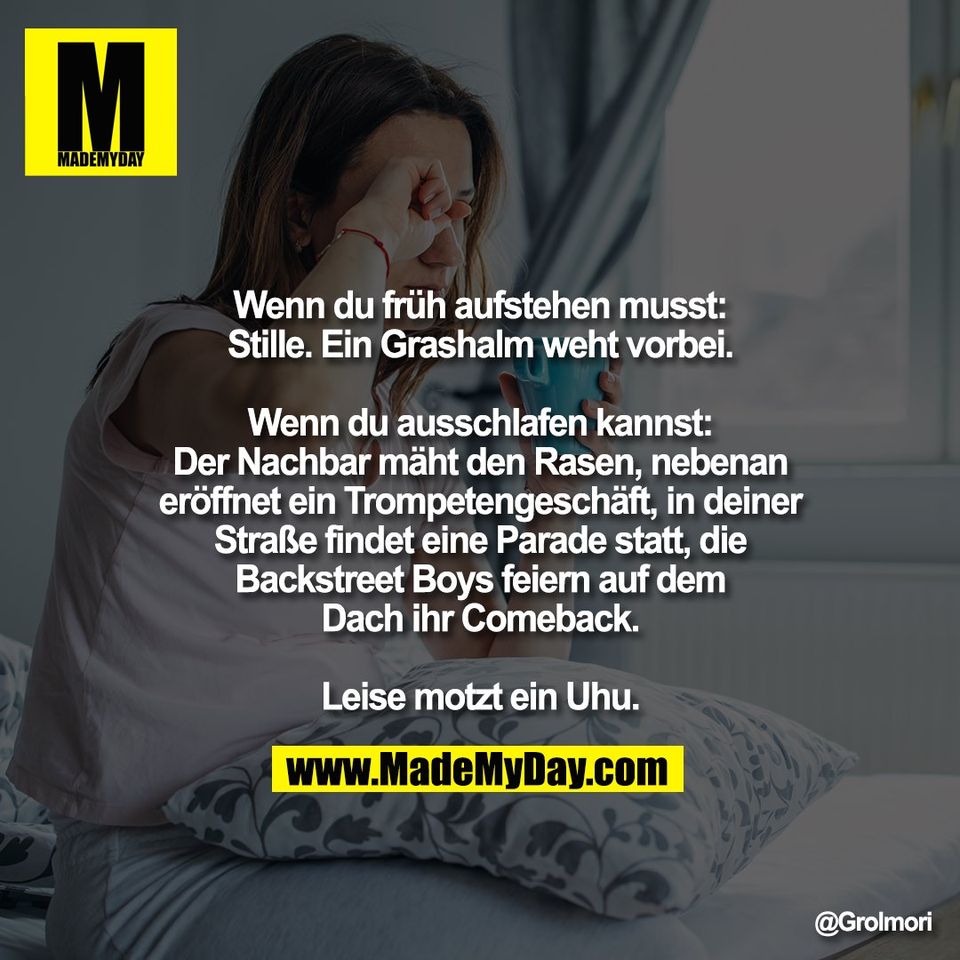 Wenn du früh aufstehen musst:<br />
Stille. Ein Grashalm weht vorbei.<br />
<br />
Wenn du ausschlafen kannst:<br />
Der Nachbar mäht den Rasen, nebenan<br />
eröffnet ein Trompetengeschäft, in deiner<br />
Straße findet eine Parade statt, die<br />
Backstreet Boys feiern auf dem<br />
Dach ihr Comeback.<br />
<br />
Leise motzt ein Uhu.