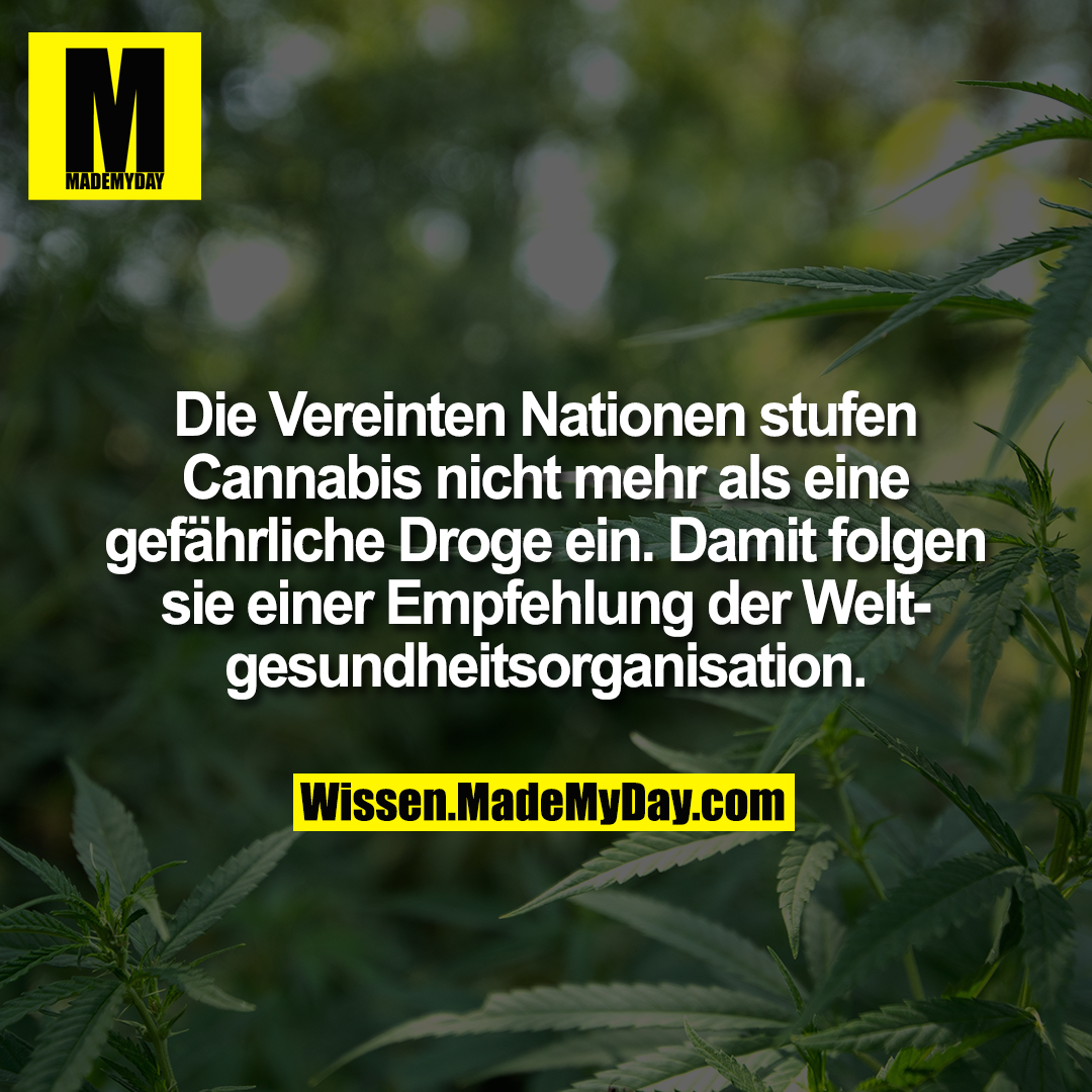Die Vereinten Nationen stufen Cannabis nicht mehr als eine gefährliche Droge ein. Damit folgen sie einer Empfehlung der Weltgesundheitsorganisation.