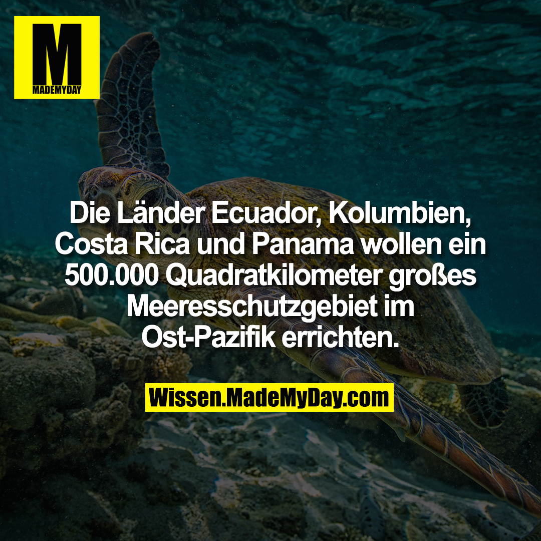 Die Länder Ecuador, Kolumbien, Costa Rica und Panama wollen ein 500.000 Quadratkilometer großes Meeresschutzgebiet im Ost-Pazifik errichten.
