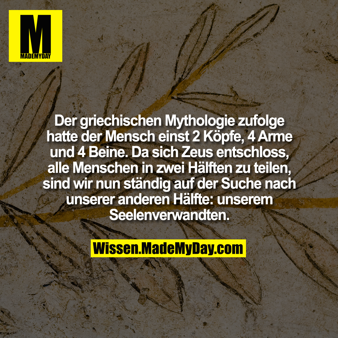Der griechischen Mythologie zufolge hatte der Mensch einst 2 Köpfe, 4 Arme und 4 Beine. Da sich Zeus entschloss, alle Menschen in zwei Hälften zu teilen, sind wir nun ständig auf der Suche nach unserer anderen Hälfte: unserem Seelenverwandten.
