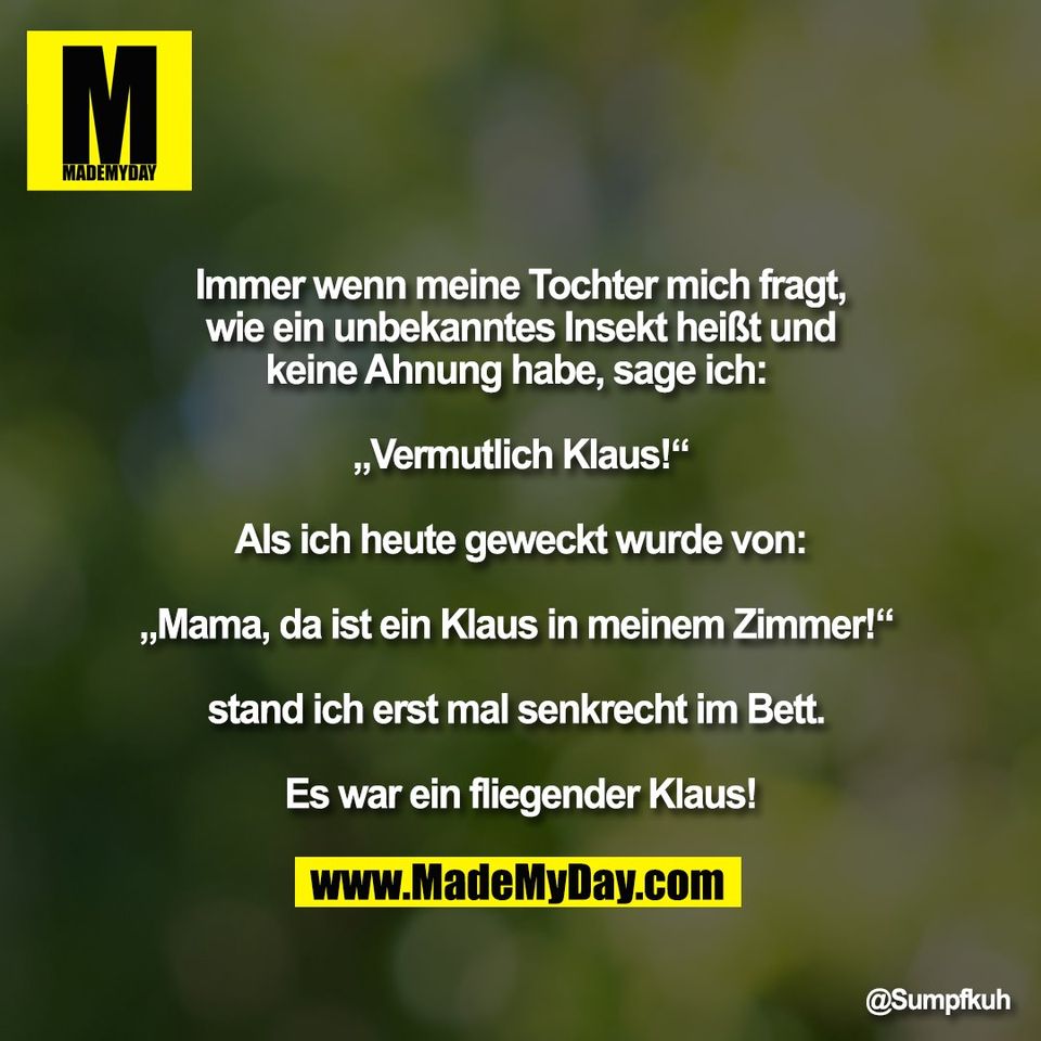 Immer wenn meine Tochter mich fragt,<br />
wie ein unbekanntes Insekt heißt und<br />
keine Ahnung habe, sage ich: <br />
<br />
„Vermutlich Klaus!“<br />
<br />
Als ich heute geweckt wurde von:<br />
<br />
„Mama, da ist ein Klaus in meinem Zimmer!“ <br />
<br />
stand ich erst mal senkrecht im Bett. <br />
<br />
Es war ein fliegender Klaus!
