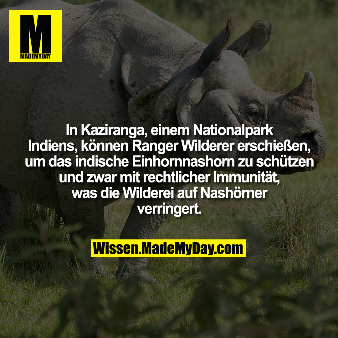 In Kaziranga, einem Nationalpark Indiens, können Ranger Wilderer erschießen, um das indische Einhornnashorn zu schützen und zwar mit rechtlicher Immunität, was die Wilderei auf Nashörner verringert.