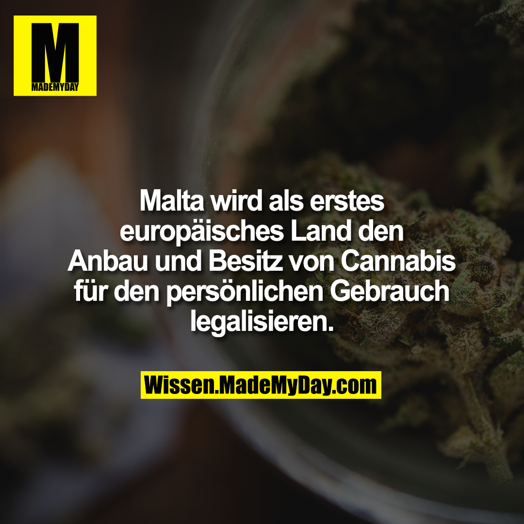 Malta wird als erstes europäisches Land den Anbau und Besitz von Cannabis für den persönlichen Gebrauch legalisieren.