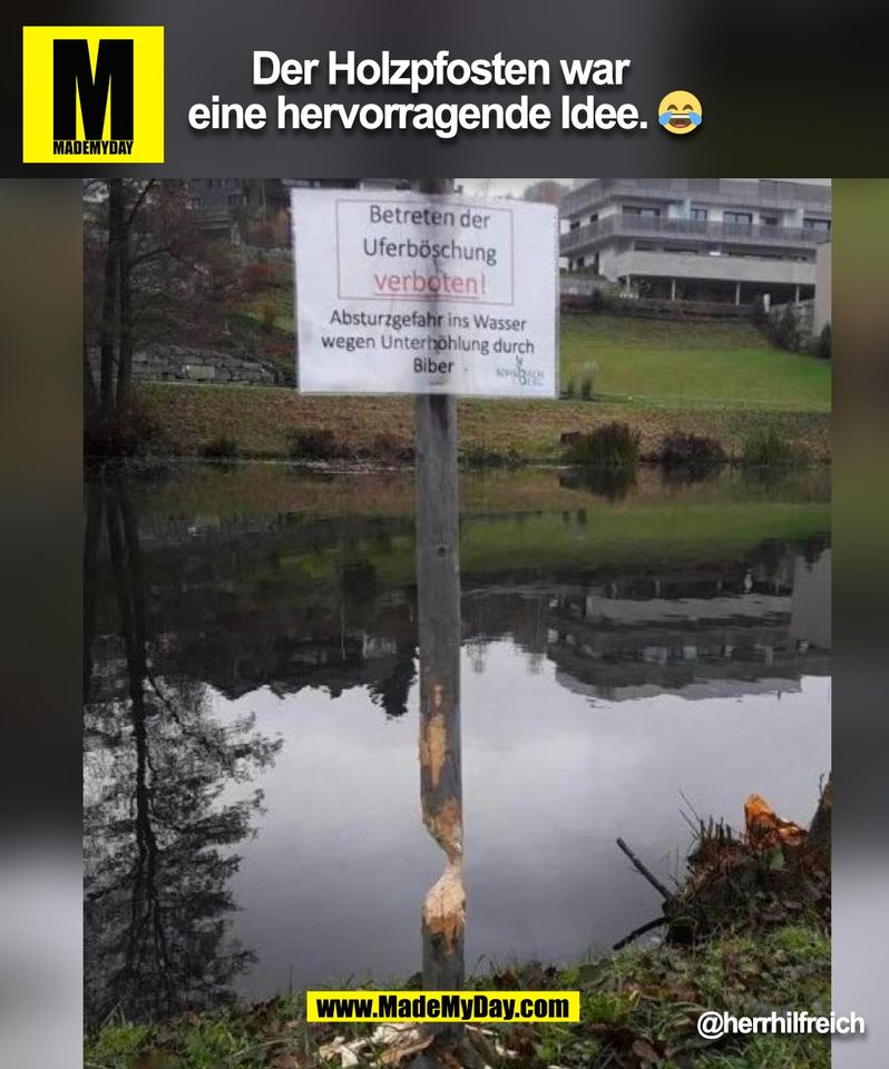 Der Holzpfosten war <br />
eine hervorragende Idee. 😂<br />
@herrhilfreich<br />
(BILD)