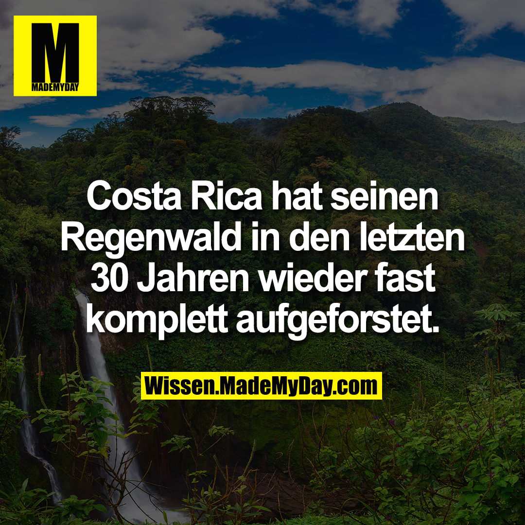 Costa Rica hat seinen Regenwald in den letzten 30 Jahren wieder fast komplett aufgeforstet.