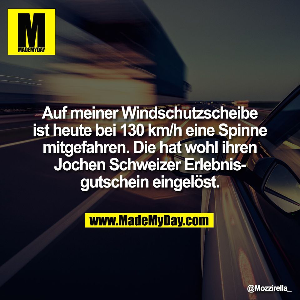 Auf meiner Windschutzscheibe<br />
ist heute bei 130 km/h eine Spinne<br />
mitgefahren. Die hat wohl ihren<br />
Jochen Schweizer Erlebnis-<br />
gutschein eingelöst.