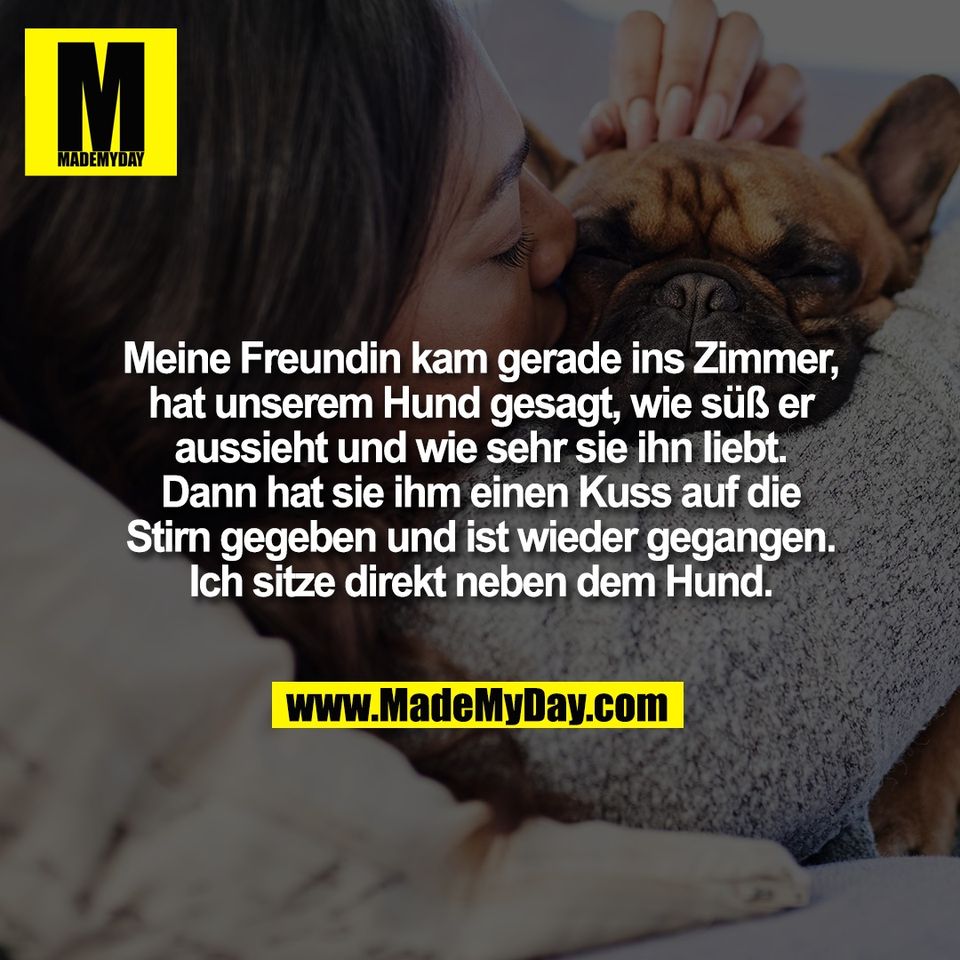 Meine Freundin kam gerade ins Zimmer,<br />
hat unserem Hund gesagt, wie süß er<br />
aussieht und wie sehr sie ihn liebt.<br />
Dann hat sie ihm einen Kuss auf die<br />
Stirn gegeben und ist wieder gegangen.<br />
Ich sitze direkt neben dem Hund.
