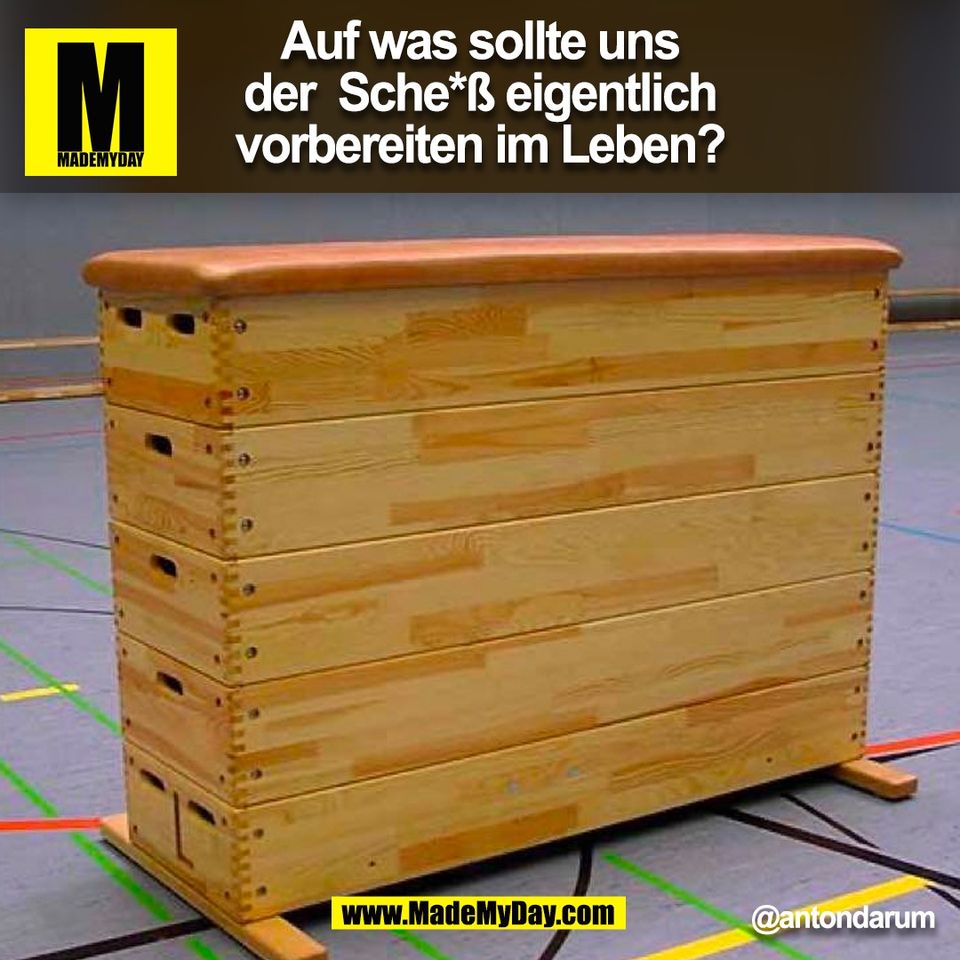 Auf was sollte uns<br />
der  Sche*ß eigentlich<br />
vorbereiten im Leben?<br />
@antondarum<br />
(BILD)