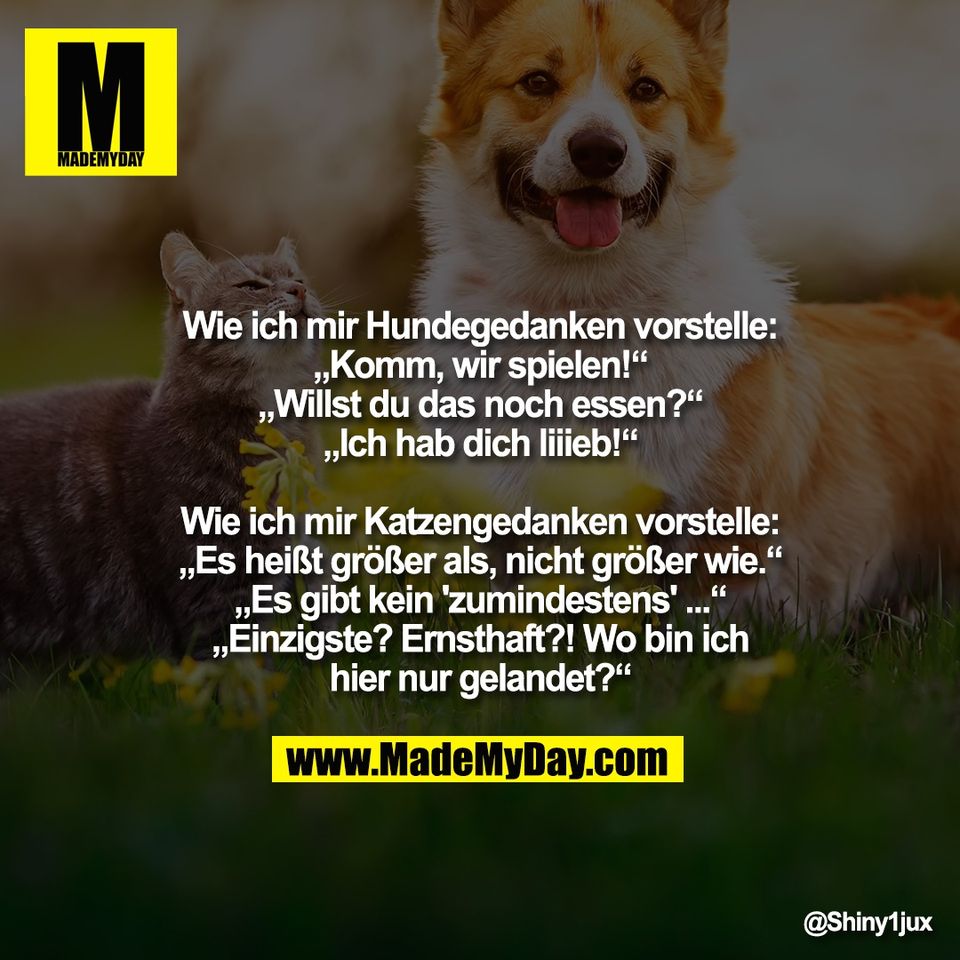 "Wie ich mir Hundegedanken vorstelle:<br />
„Komm, wir spielen!“<br />
„Willst du das noch essen?“<br />
„Ich hab dich liiieb!“<br />
<br />
Wie ich mir Katzengedanken vorstelle:<br />
„Es heißt größer als, nicht größer wie.“<br />
„Es gibt kein 'zumindestens' ...“<br />
„Einzigste? Ernsthaft?! Wo bin ich<br />
hier nur gelandet?“"