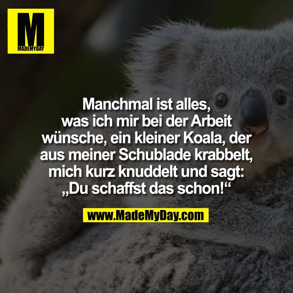 Manchmal ist alles,<br />
was ich mir bei der Arbeit<br />
wünsche, ein kleiner Koala, der<br />
aus meiner Schublade krabbelt,<br />
mich kurz knuddelt und sagt:<br />
„Du schaffst das schon!“