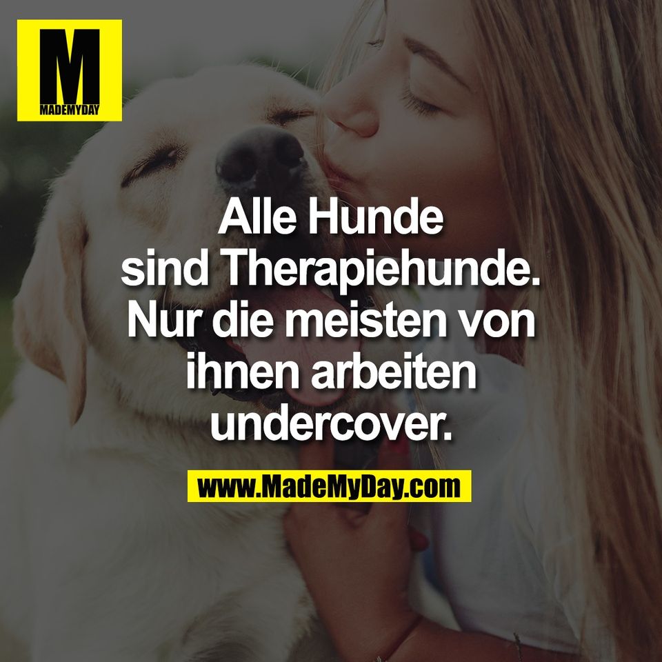Alle Hunde<br />
sind Therapiehunde.<br />
Nur die meisten von<br />
ihnen arbeiten<br />
undercover.