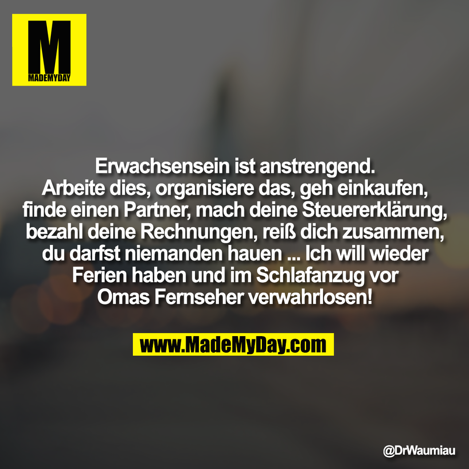 Erwachsensein ist anstrengend.<br />
Arbeite dies, organisiere das, geh einkaufen,<br />
finde einen Partner, mach deine Steuererklärung,<br />
bezahl deine Rechnungen, reiß dich zusammen,<br />
du darfst niemanden hauen ... Ich will wieder<br />
Ferien haben und im Schlafanzug vor<br />
Omas Fernseher verwahrlosen!