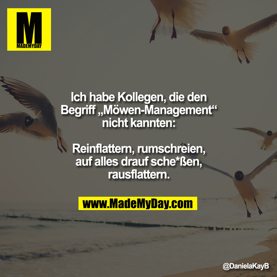 Ich habe Kollegen, die den<br />
Begriff „Möwen-Management“<br />
nicht kannten:<br />
<br />
Reinflattern, rumschreien,<br />
auf alles drauf sche*ßen,<br />
rausflattern.