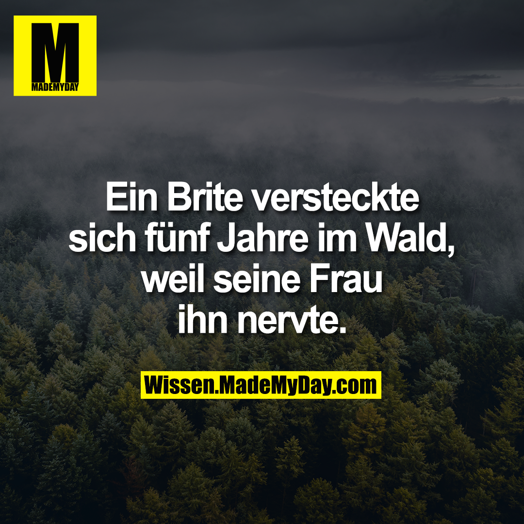 Ein Brite versteckte sich fünf Jahre im Wald, weil seine Frau ihn nervte.
