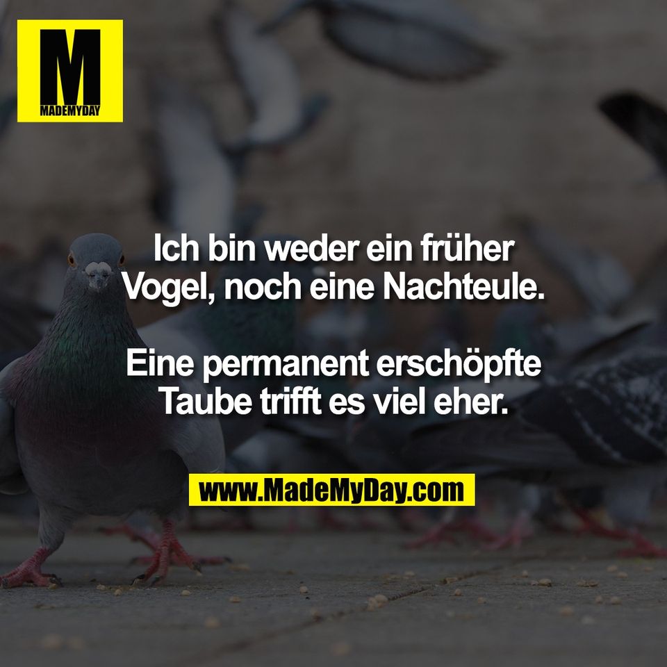 Ich bin weder ein früher<br />
Vogel, noch eine Nachteule.<br />
<br />
Eine permanent erschöpfte<br />
Taube trifft es viel eher.