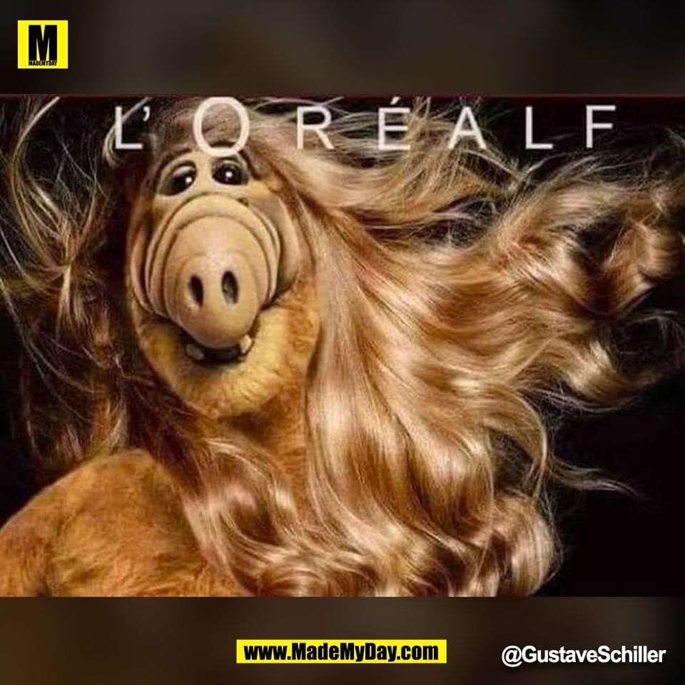 L'OREALF<br />
@GustaveSchiller<br />
(BILD)