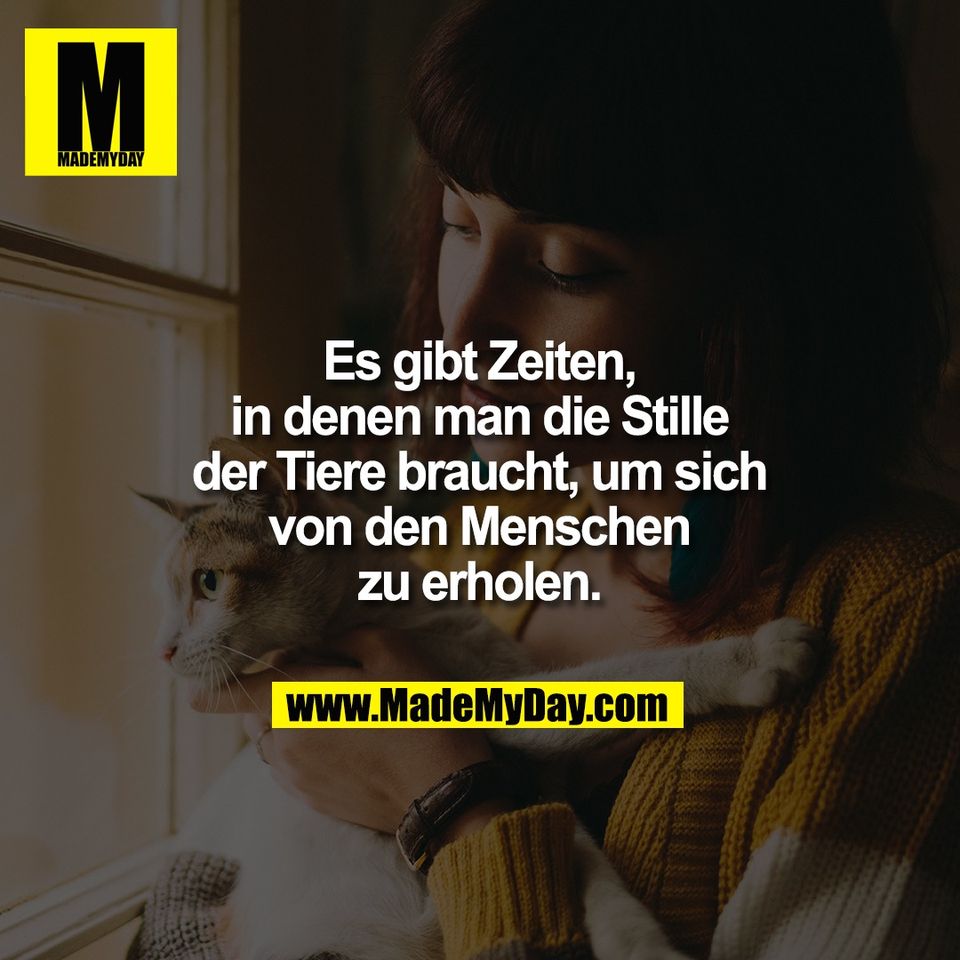 Es gibt Zeiten,<br />
in denen man die Stille<br />
der Tiere braucht, um sich<br />
von den Menschen<br />
zu erholen.
