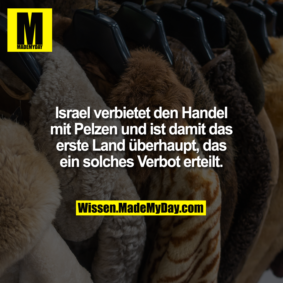 Israel verbietet den Handel mit Pelzen und ist damit das erste Land überhaupt, das ein solches Verbot erteilt.