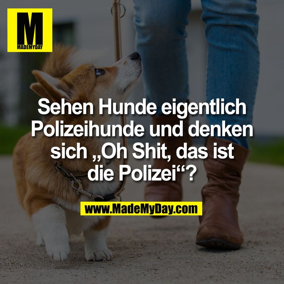 Sehen Hunde eigentlich<br />
Polizeihunde und denken<br />
sich „Oh Shit, das ist<br />
die Polizei“?