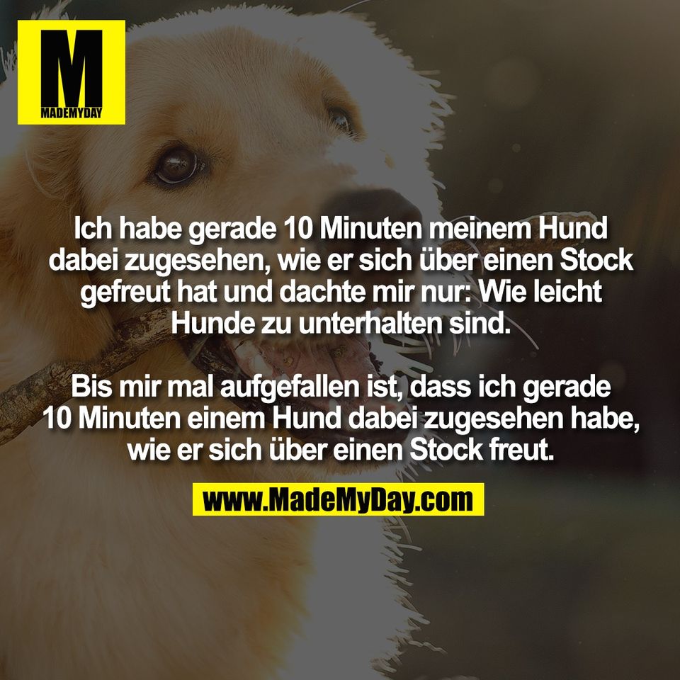 Ich habe gerade 10 Minuten meinem Hund<br />
dabei zugesehen, wie er sich über einen Stock<br />
gefreut hat und dachte mir nur: Wie leicht<br />
Hunde zu unterhalten sind.<br />
<br />
Bis mir mal aufgefallen ist, dass ich gerade<br />
10 Minuten einem Hund dabei zugesehen habe,<br />
wie er sich über einen Stock freut.