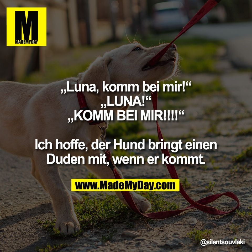 „Luna, komm bei mir!“<br />
„LUNA!“<br />
„KOMM BEI MIR!!!!“<br />
<br />
Ich hoffe, der Hund bringt einen<br />
Duden mit, wenn er kommt.
