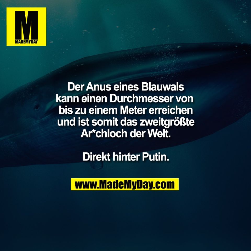 Der Anus eines Blauwals<br />
kann einen Durchmesser von <br />
bis zu einem Meter erreichen<br />
und ist somit das zweitgrößte<br />
Ar*chloch der Welt.<br />
<br />
Direkt hinter Putin.