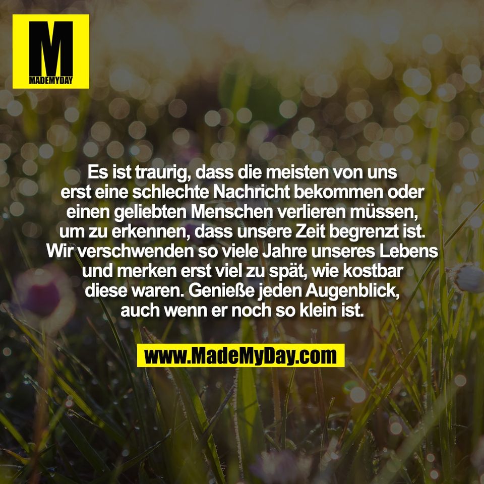 Es ist traurig, dass die meisten von uns<br />
erst eine schlechte Nachricht bekommen oder<br />
einen geliebten Menschen verlieren müssen,<br />
um zu erkennen, dass unsere Zeit begrenzt ist.<br />
Wir verschwenden so viele Jahre unseres Lebens<br />
und merken erst viel zu spät, wie kostbar<br />
diese waren. Genieße jeden Augenblick,<br />
auch wenn er noch so klein ist.