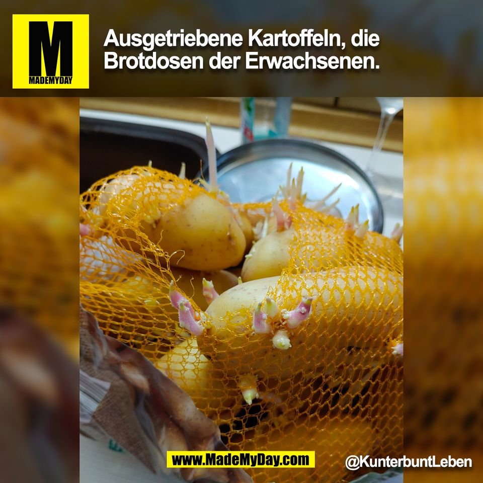 Ausgetriebene Kartoffeln, die<br />
Brotdosen der Erwachsenen.<br />
@KunterbuntLeben<br />
(BILD)