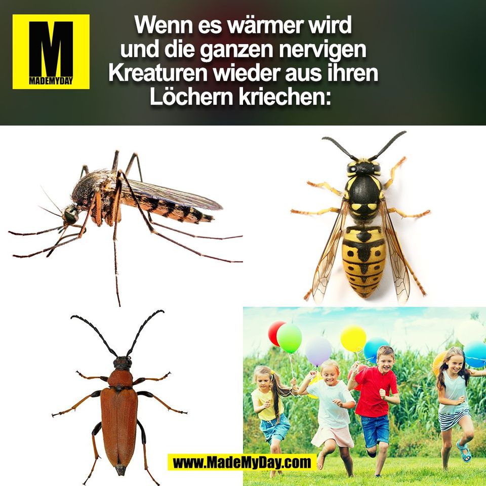 Wenn es wärmer wird<br />
und die ganzen nervigen<br />
Kreaturen wieder aus ihren<br />
Löchern kriechen: 