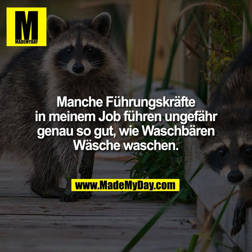 Manche Führungskräfte<br />
in meinem Job führen ungefähr<br />
genau so gut, wie Waschbären<br />
Wäsche waschen.