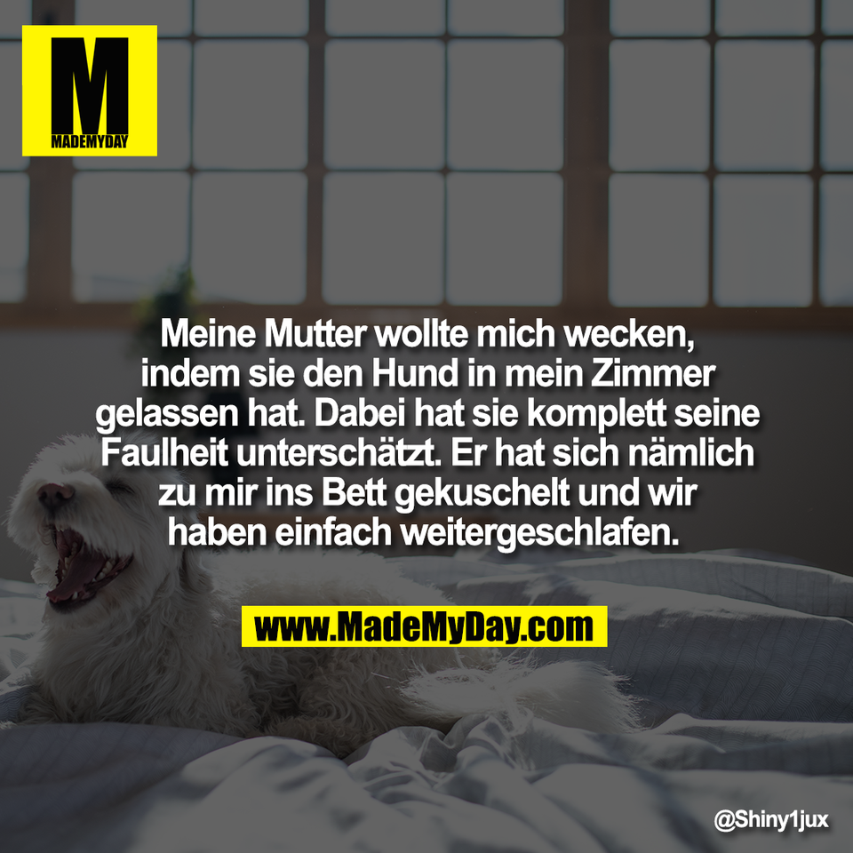 Meine Mutter wollte mich wecken,<br />
indem sie den Hund in mein Zimmer<br />
gelassen hat. Dabei hat sie komplett seine<br />
Faulheit unterschätzt. Er hat sich nämlich<br />
zu mir ins Bett gekuschelt und wir<br />
haben einfach weitergeschlafen.