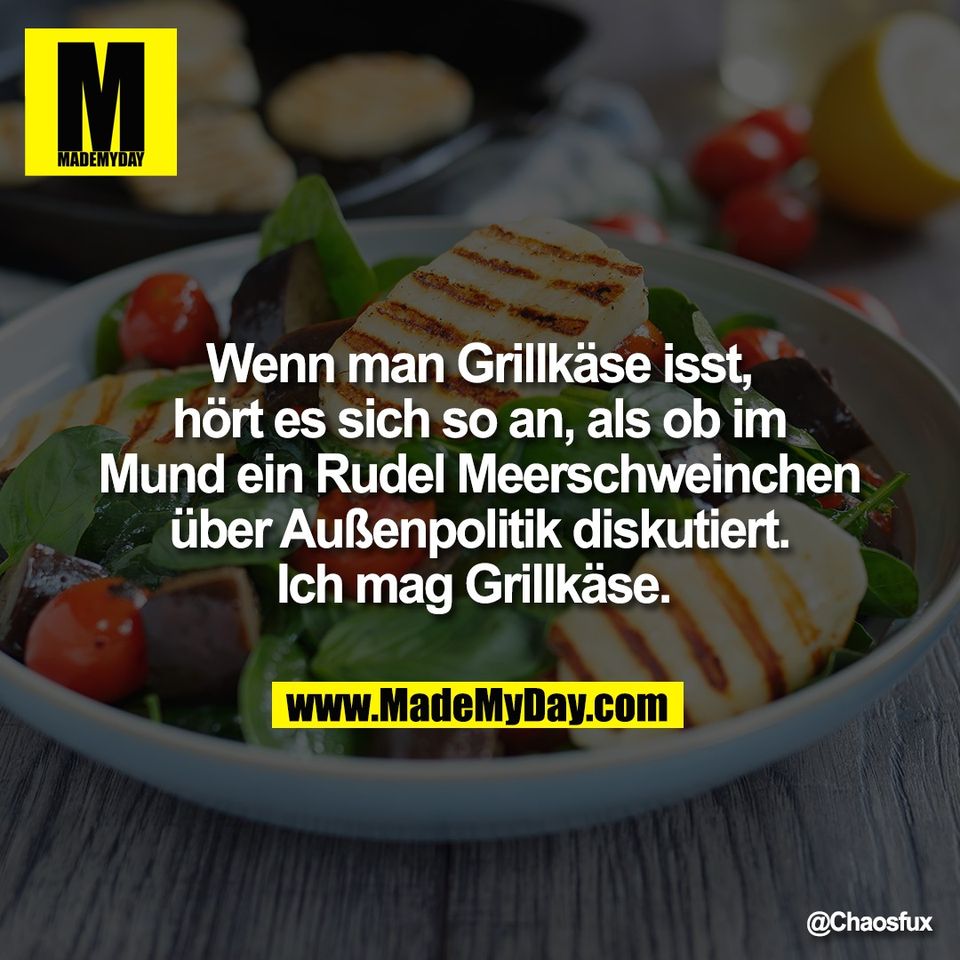 Wenn man Grillkäse isst,<br />
hört es sich so an, als ob im<br />
Mund ein Rudel Meerschweinchen<br />
über Außenpolitik diskutiert.<br />
Ich mag Grillkäse.