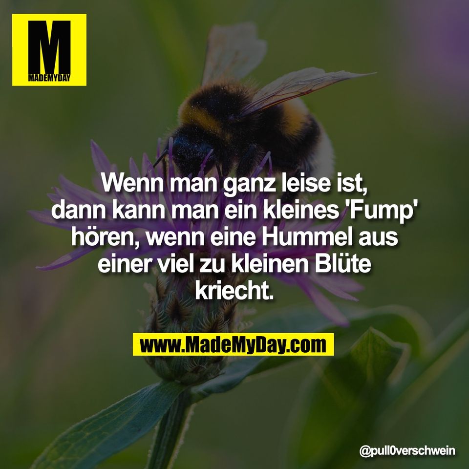 Wenn man ganz leise ist,<br />
dann kann man ein kleines 'Fump'<br />
hören, wenn eine Hummel aus<br />
einer viel zu kleinen Blüte<br />
kriecht.