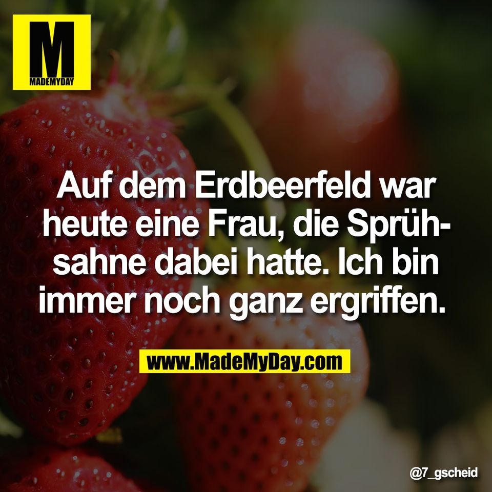 Auf dem Erdbeerfeld war<br />
heute eine Frau, die Sprüh-<br />
sahne dabei hatte. Ich bin<br />
immer noch ganz ergriffen.