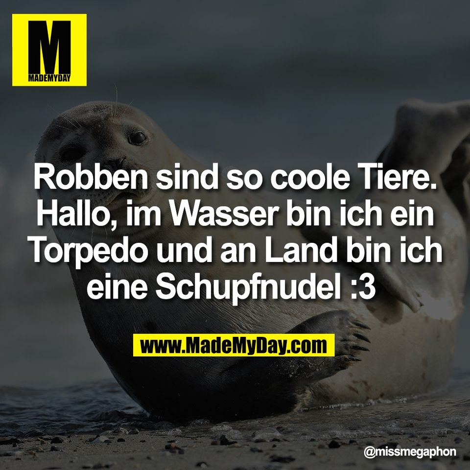 Robben sind so coole Tiere.<br />
Hallo, im Wasser bin ich ein<br />
Torpedo und an Land bin ich<br />
eine Schupfnudel :3