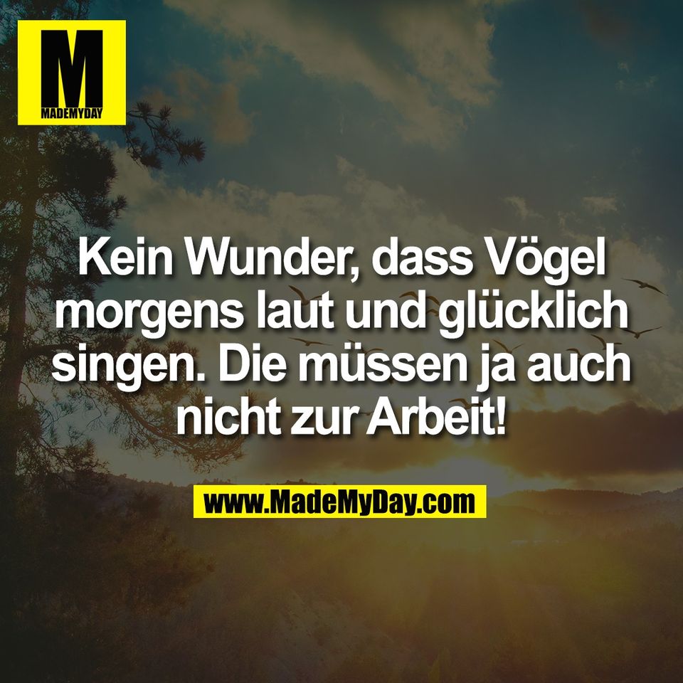 Kein Wunder, dass Vögel<br />
morgens laut und glücklich<br />
singen. Die müssen ja auch<br />
nicht zur Arbeit!