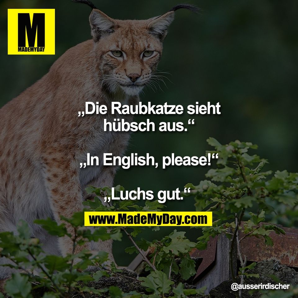 „Die Raubkatze sieht<br />
hübsch aus.“<br />
<br />
„In English, please!“<br />
<br />
„Luchs gut.“
