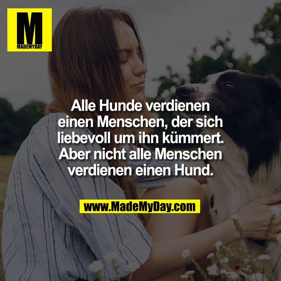 Alle Hunde verdienen<br />
einen Menschen, der sich<br />
liebevoll um ihn kümmert.<br />
Aber nicht alle Menschen<br />
verdienen einen Hund.