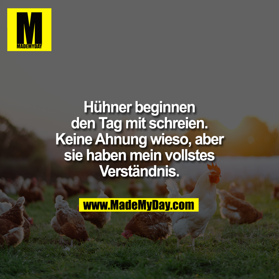 Hühner beginnen<br />
den Tag mit schreien.<br />
Keine Ahnung wieso, aber<br />
sie haben mein vollstes<br />
Verständnis.