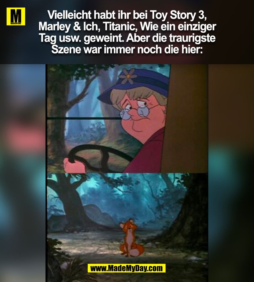 Vielleicht habt ihr bei Toy Story 3,<br />
Marley & Ich, Titanic, Wie ein einziger<br />
Tag usw. geweint. Aber die traurigste<br />
Szene war immer noch die hier:<br />
(BILD)