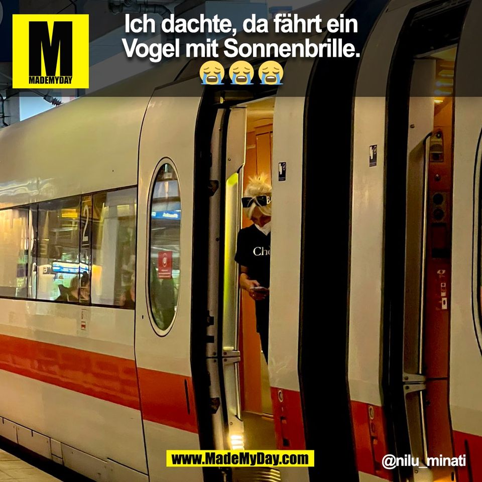 Ich dachte, da fährt ein<br />
Vogel mit Sonnenbrille.<br />
😭 😭 😭<br />
@nilu_minati<br />
(BILD)
