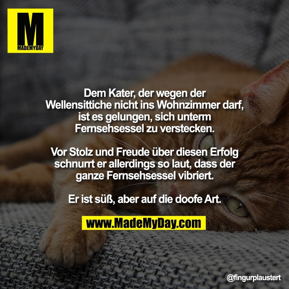 Dem Kater, der wegen der<br />
Wellensittiche nicht ins Wohnzimmer darf,<br />
ist es gelungen, sich unterm<br />
Fernsehsessel zu verstecken.<br />
<br />
Vor Stolz und Freude über diesen Erfolg<br />
schnurrt er allerdings so laut, dass der<br />
ganze Fernsehsessel vibriert.<br />
<br />
Er ist süß, aber auf die doofe Art.