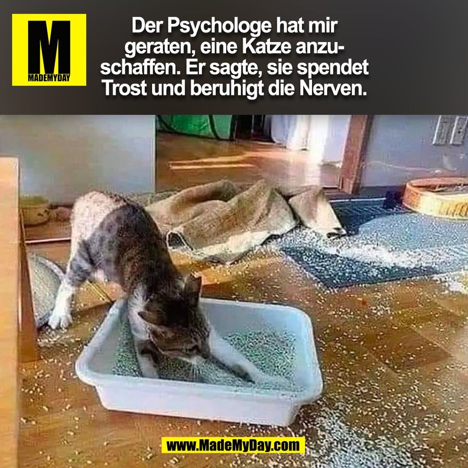 Der Psychologe hat mir<br />
geraten, eine Katze anzu-<br />
schaffen. Er sagte, sie spendet<br />
Trost und beruhigt die Nerven.<br />
(BILD)