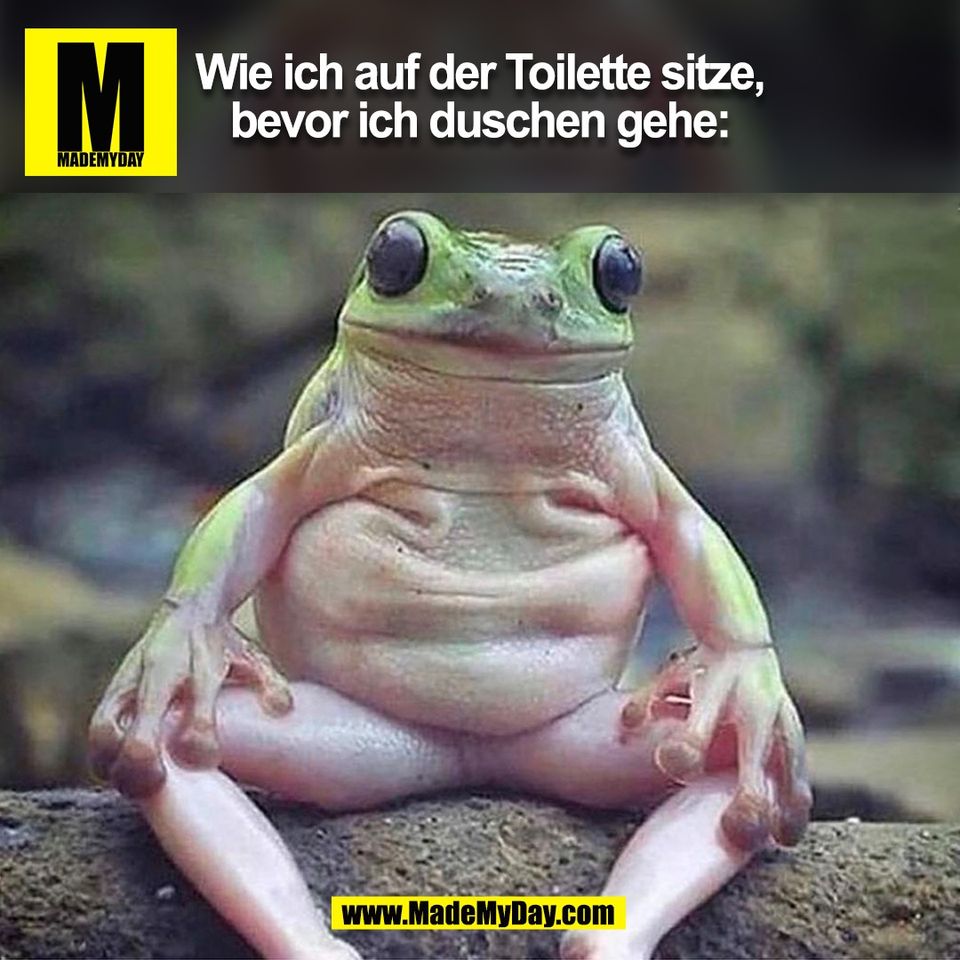 Wie ich auf der Toilette sitze,<br />
bevor ich duschen gehe:<br />
(BILD)