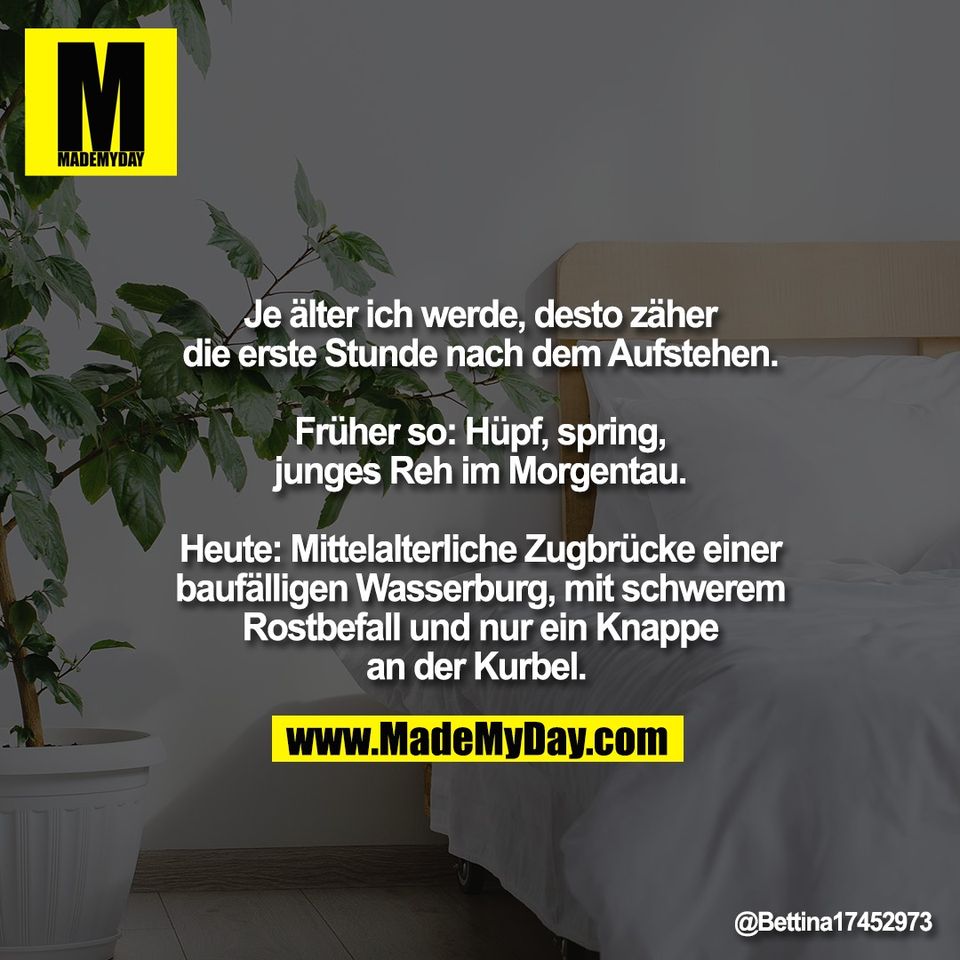 Je älter ich werde, desto zäher<br />
die erste Stunde nach dem Aufstehen.<br />
<br />
Früher so: Hüpf, spring,<br />
junges Reh im Morgentau.<br />
<br />
Heute: Mittelalterliche Zugbrücke einer<br />
baufälligen Wasserburg, mit schwerem<br />
Rostbefall und nur ein Knappe<br />
an der Kurbel.