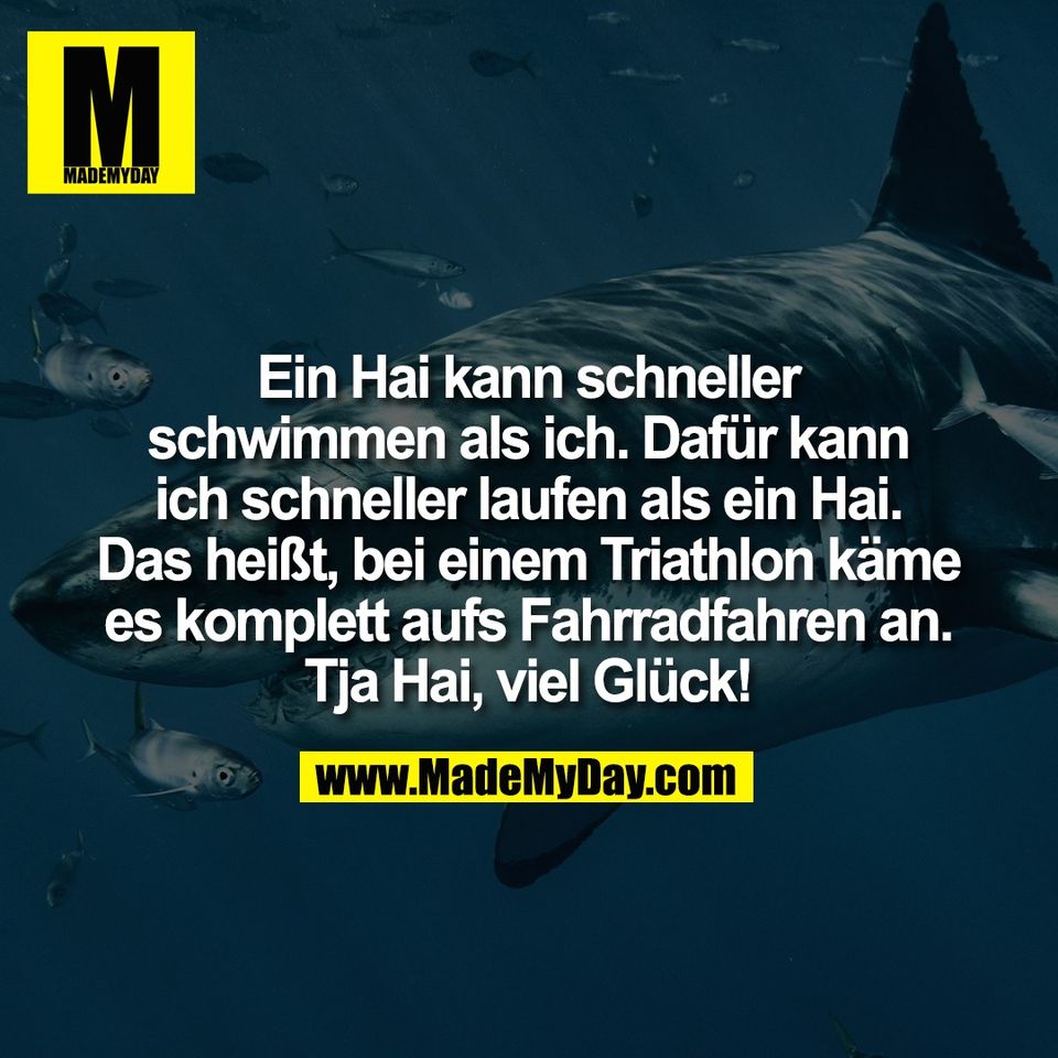 Ein Hai kann schneller<br />
schwimmen als ich. Dafür kann<br />
ich schneller laufen als ein Hai.<br />
Das heißt, bei einem Triathlon käme<br />
es komplett aufs Fahrradfahren an.<br />
Tja Hai, viel Glück!