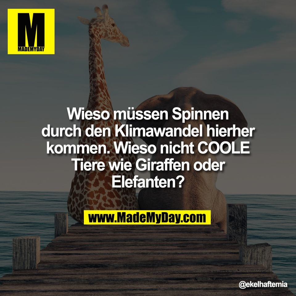 Wieso müssen Spinnen<br />
durch den Klimawandel hierher<br />
kommen. Wieso nicht COOLE<br />
Tiere wie Giraffen oder<br />
Elefanten?