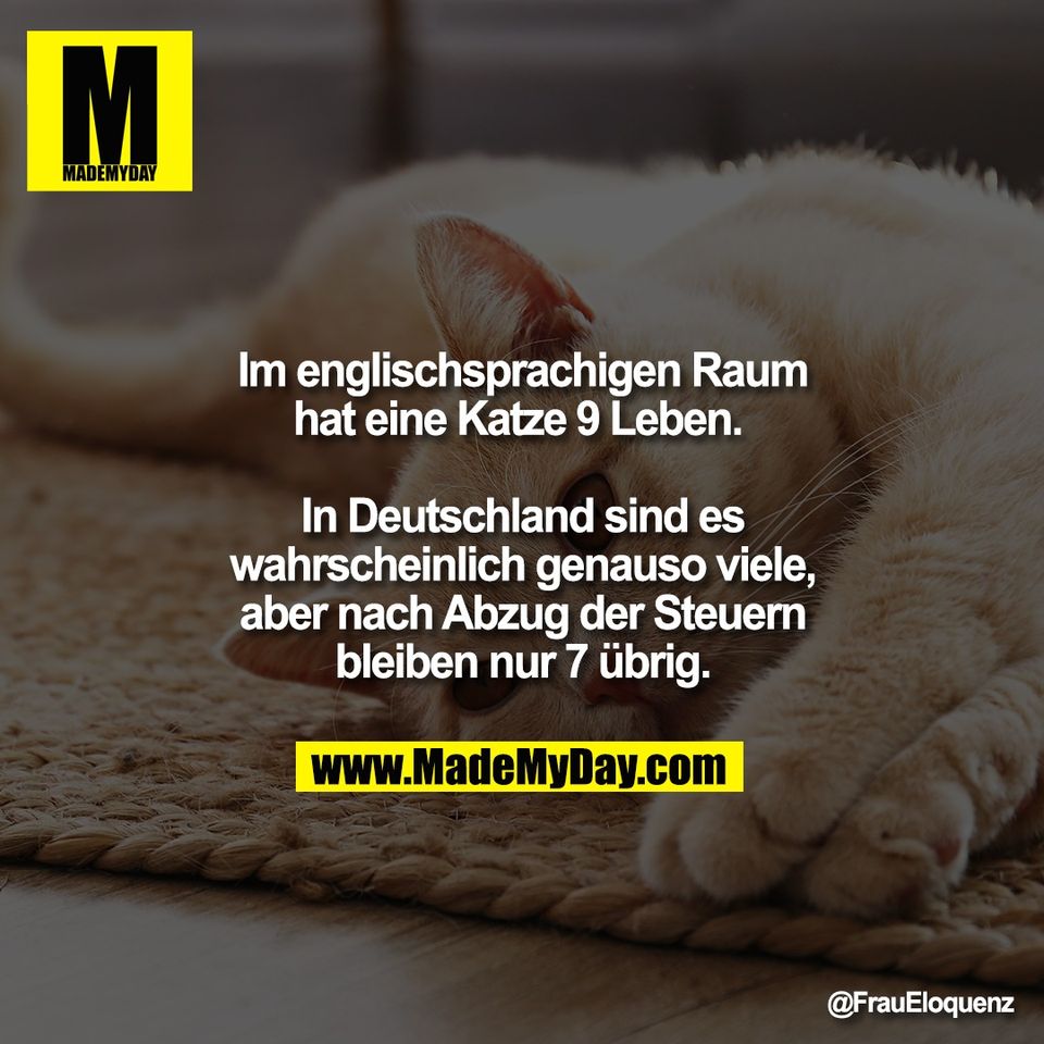 Im englischsprachigen Raum<br />
hat eine Katze 9 Leben. <br />
<br />
In Deutschland sind es<br />
wahrscheinlich genauso viele,<br />
aber nach Abzug der Steuern<br />
bleiben nur 7 übrig.